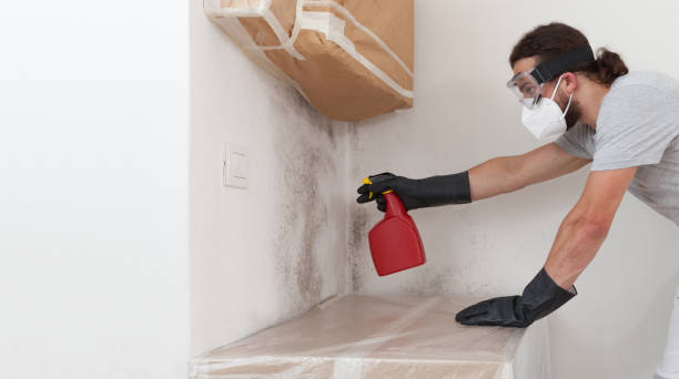 Professional Mold Removal technician working in Farmville, NC